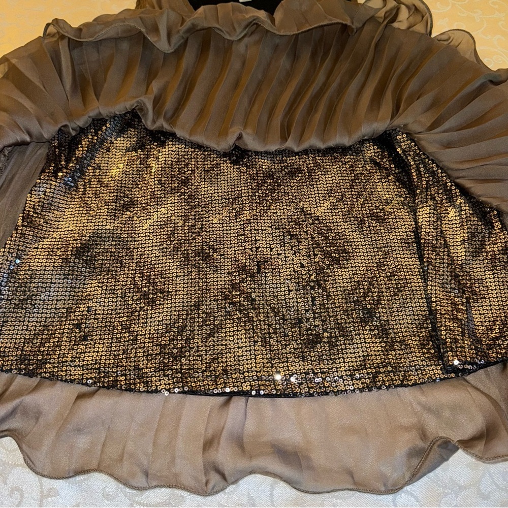 Ya Los Angeles Sleeveless Pleated Sheer Top with Sequin Lining - Picture 9 of 15